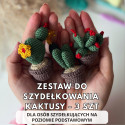 Zestaw do szydełkowania DIY...