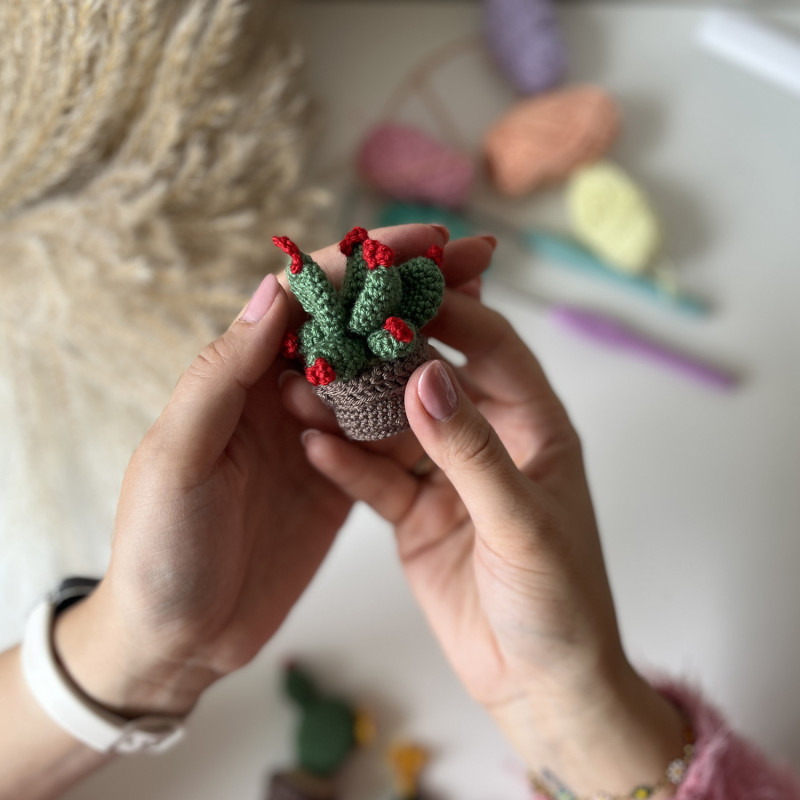 Zestaw do szydełkowania DIY – Mini Kaktusy (3 szt.) - produkt wyplatamy.pl 4