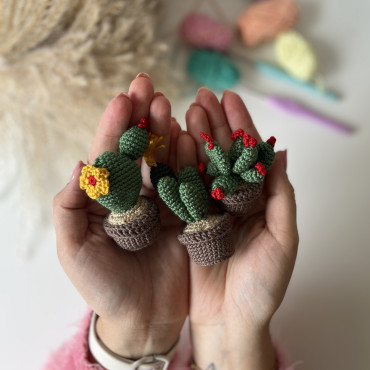 Zestaw do szydełkowania DIY – Mini Kaktusy (3 szt.) - produkt 2